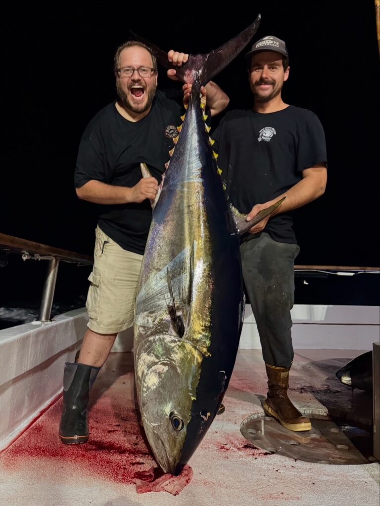 Bluefin night fishing