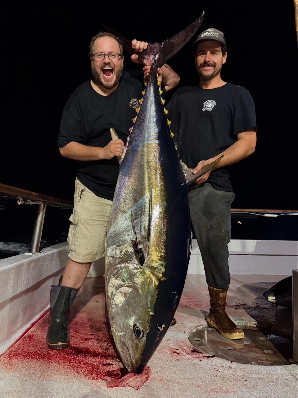 Bluefin night fishing Bluefin night fishing