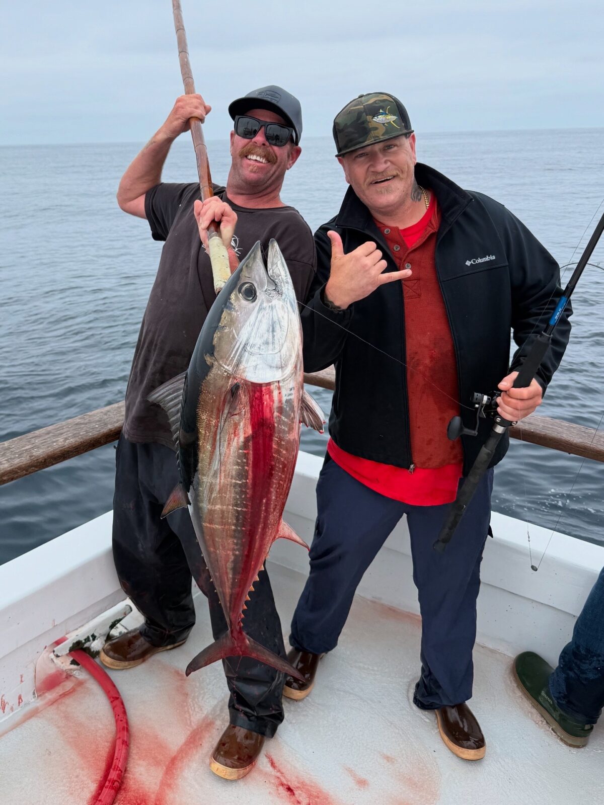 Bluefin Daytime Fishing