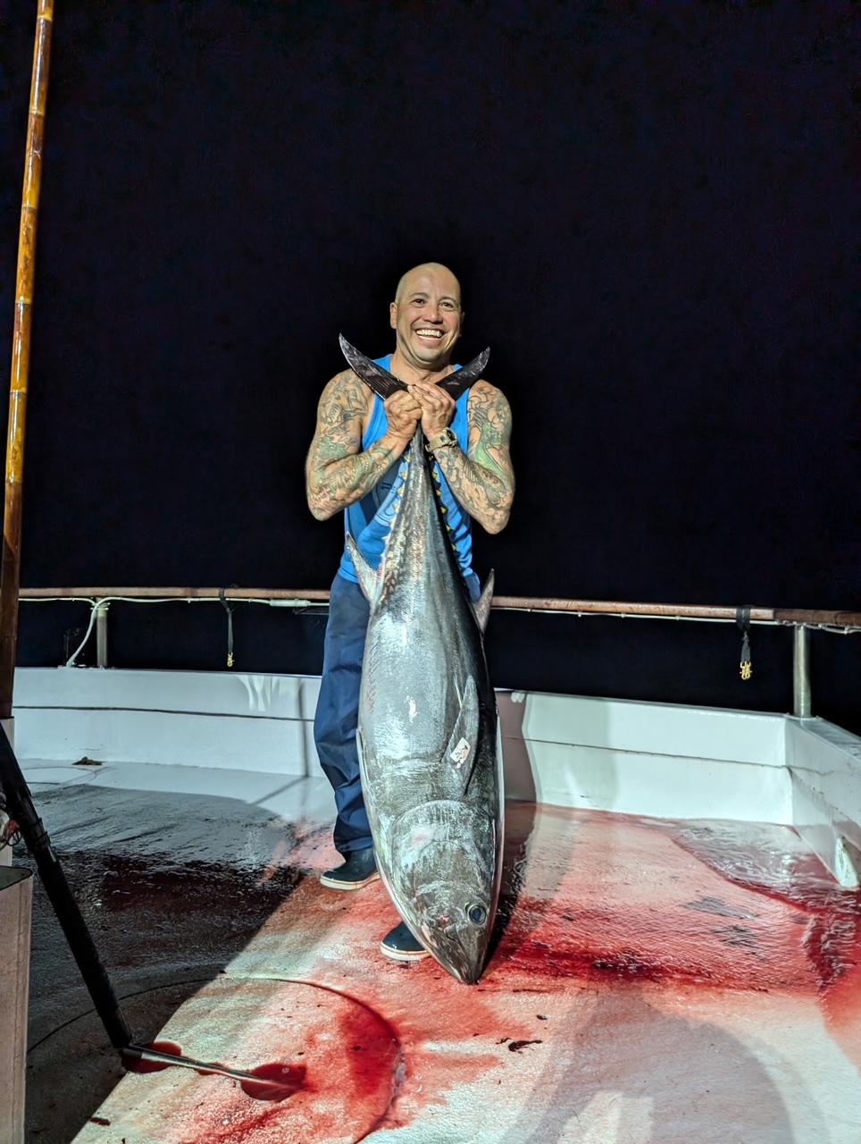 Night Fishing Bluefin Night Fishing Bluefin
