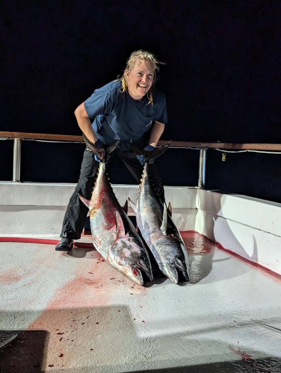 Bluefin night fishing Bluefin night fishing