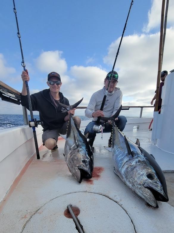 Bluefins Fishing Bluefins Fishing