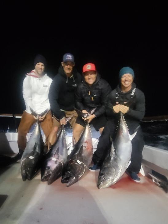 Bluefin night fishing