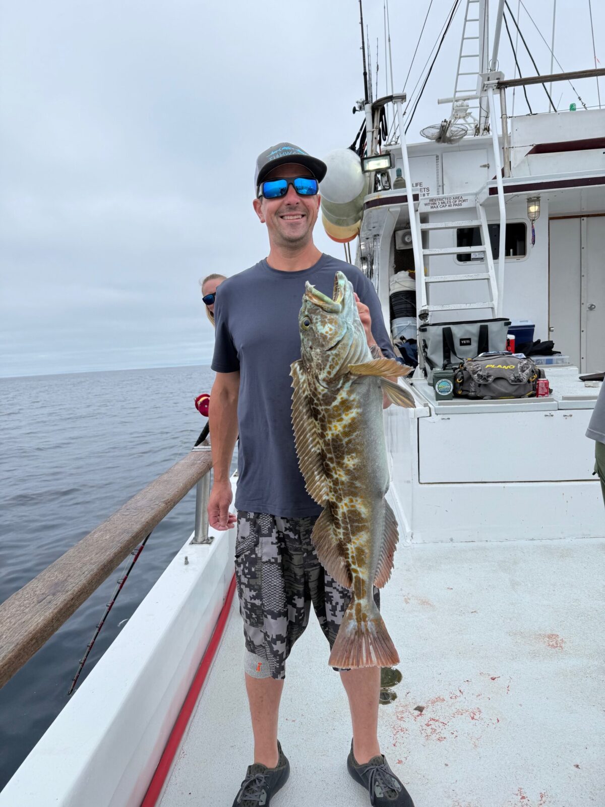 Lingcod Lingcod