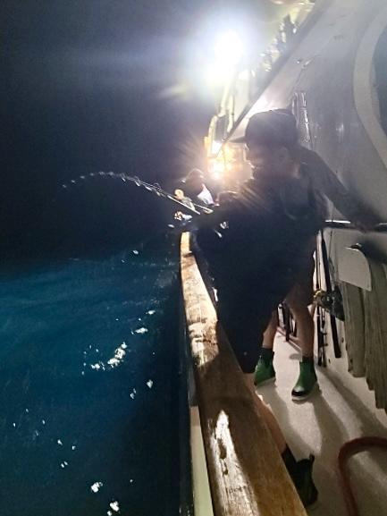 Night Fishing Night Fishing
