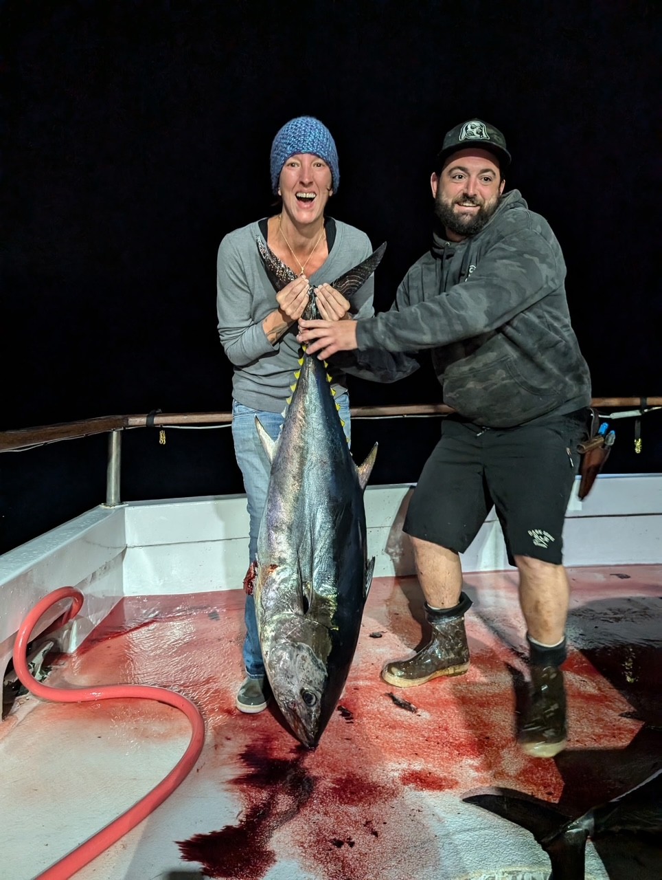 Night Fishing Bluefin Night Fishing Bluefin