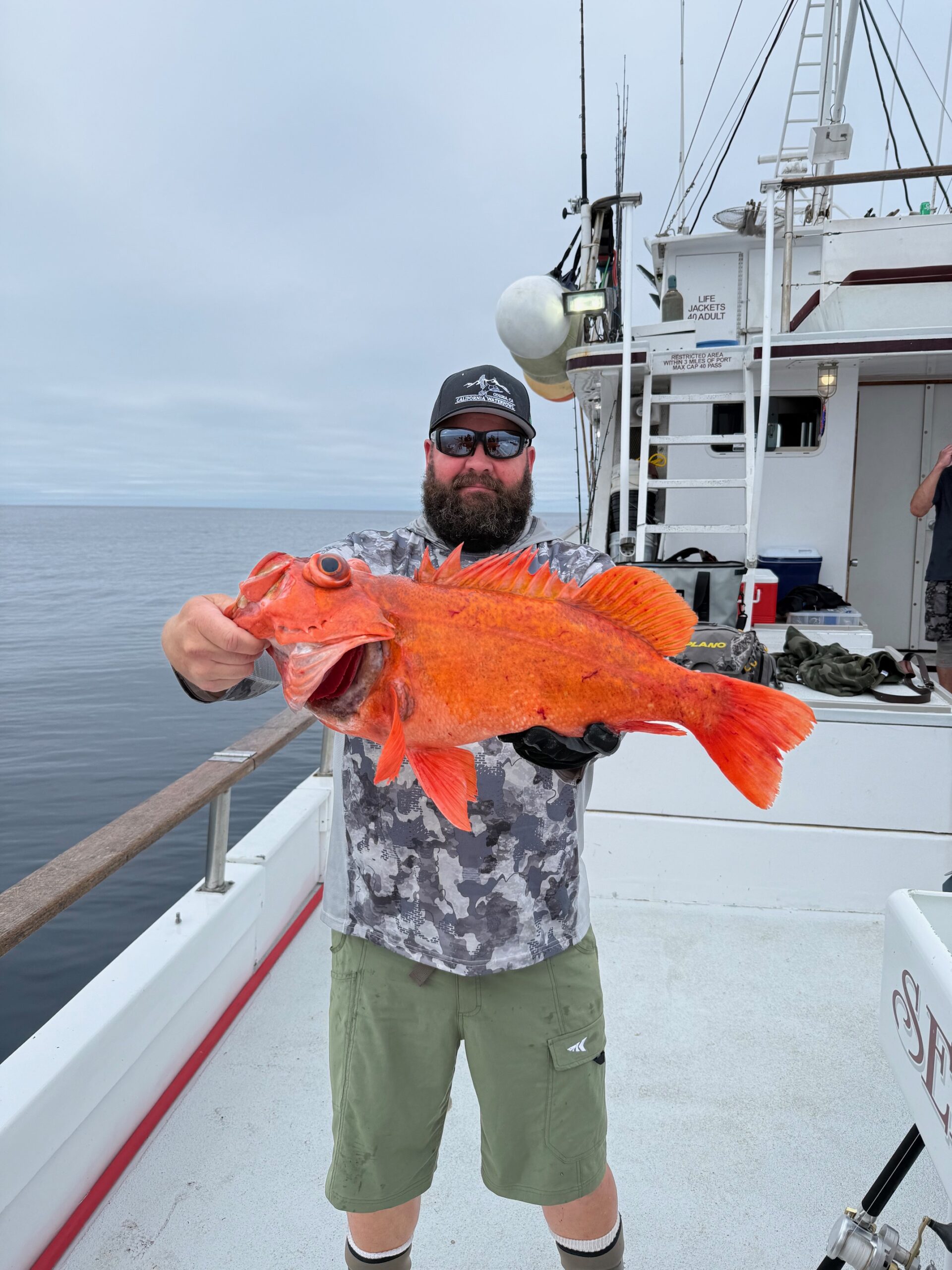 Rockfish Rockfish