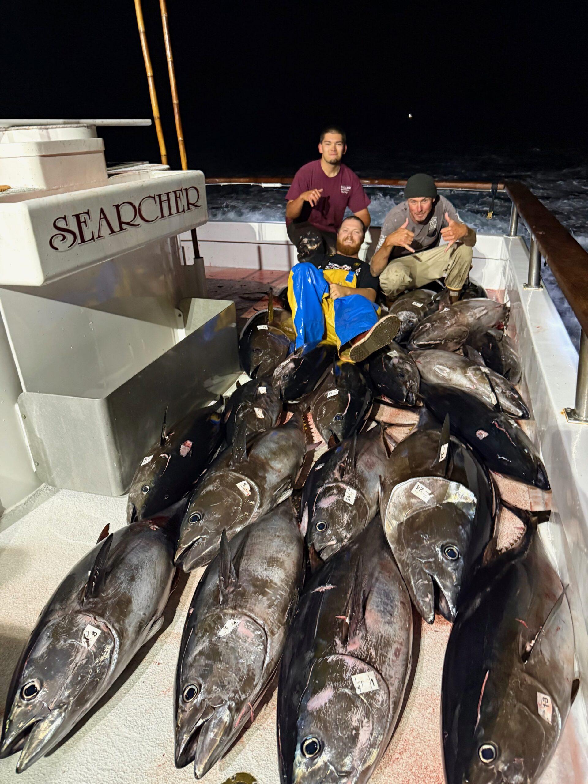 Bluefin Fishing