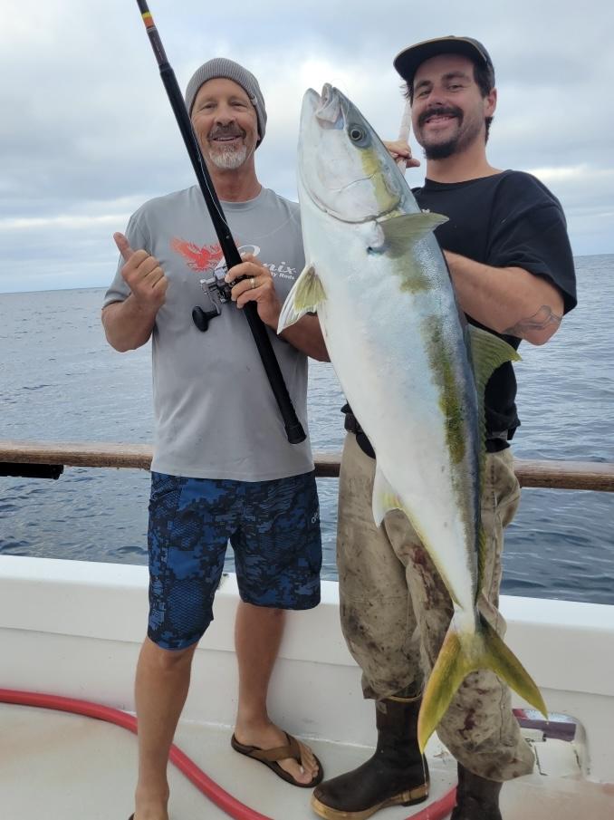 Yellowtail Fishing Yellowtail Fishing