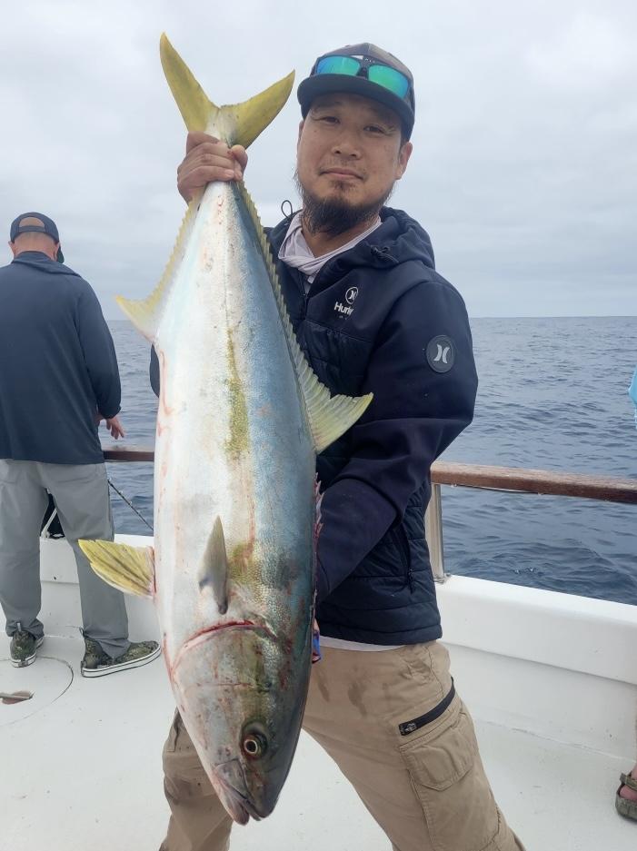 Yellowtail Fishing Yellowtail Fishing