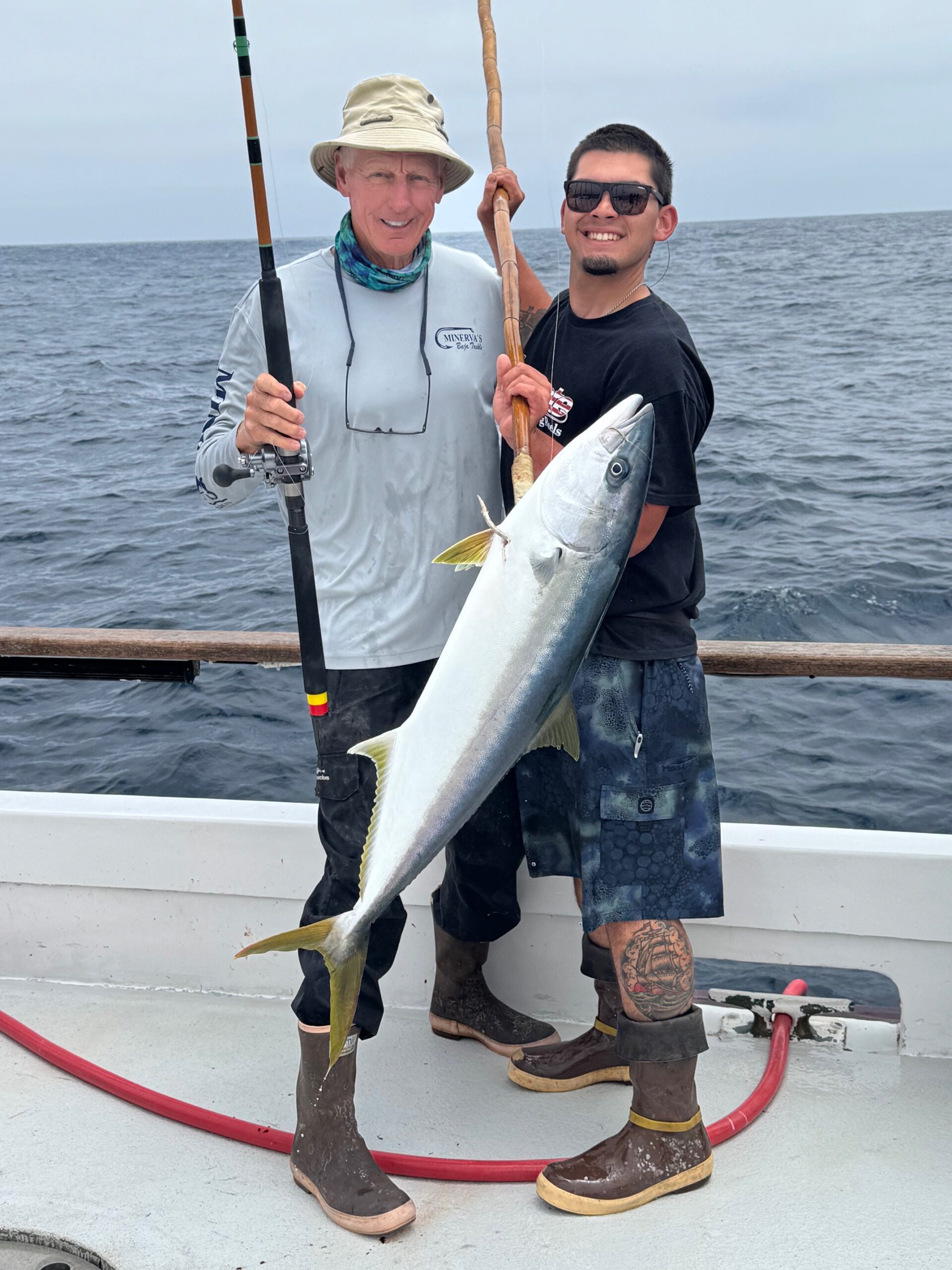 Yellowtail Yellowtail