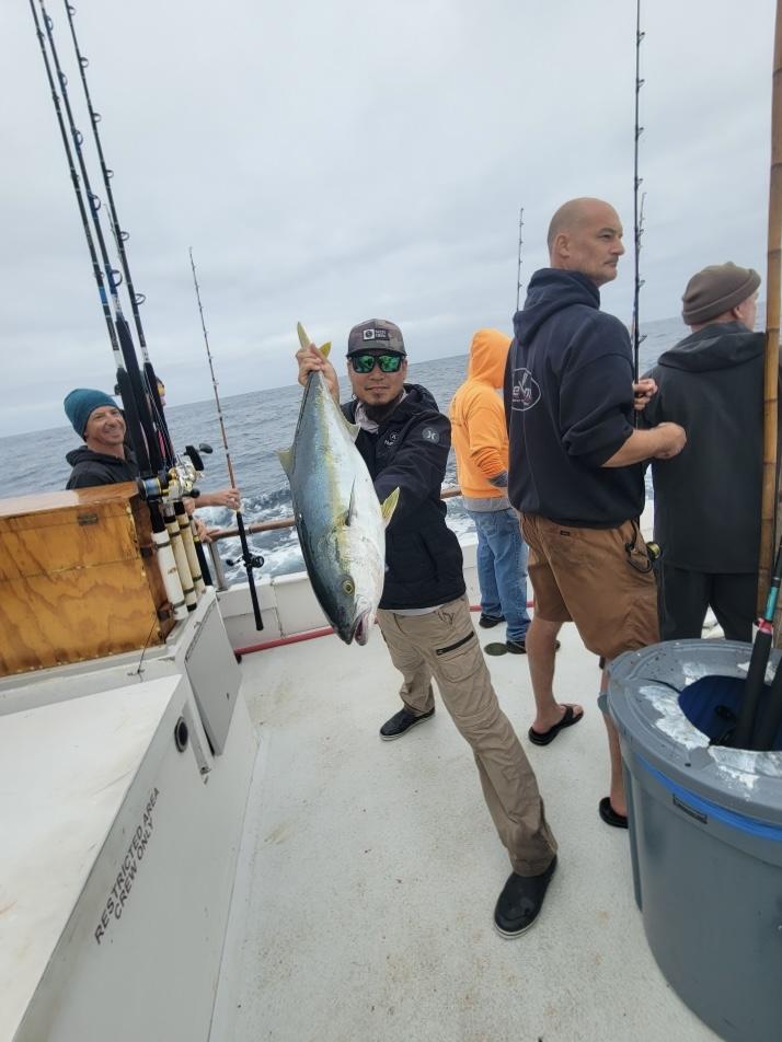 Yellowtail Fishing Yellowtail Fishing
