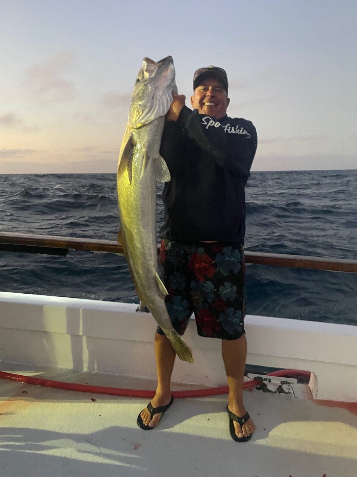 Seabass