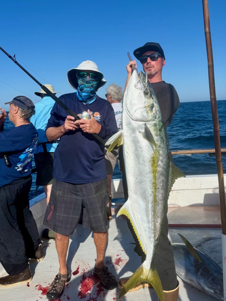 Yellowtail
