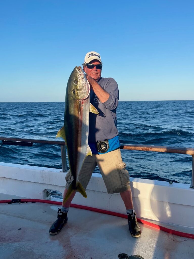 Yellowtail