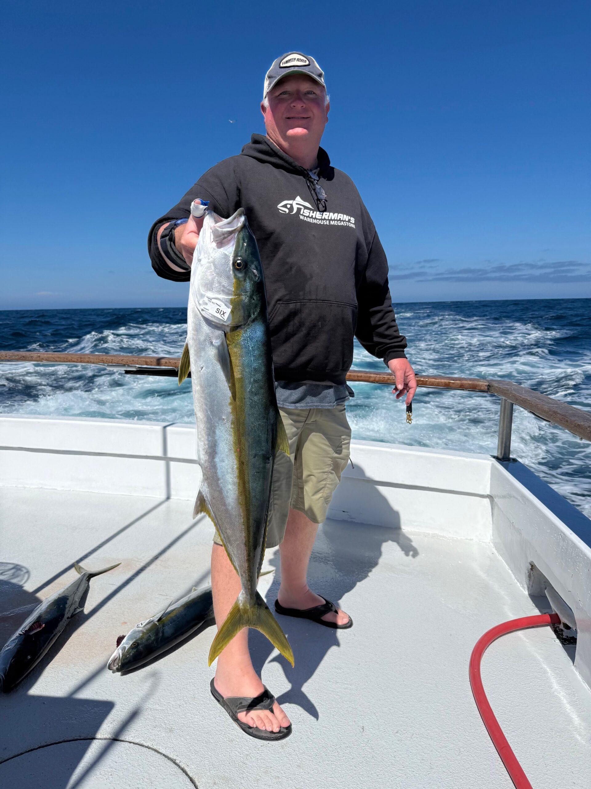 Yellowtail Yellowtail
