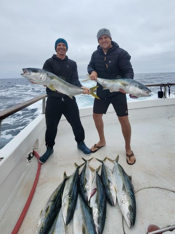 Yellowtail Fishing Yellowtail Fishing