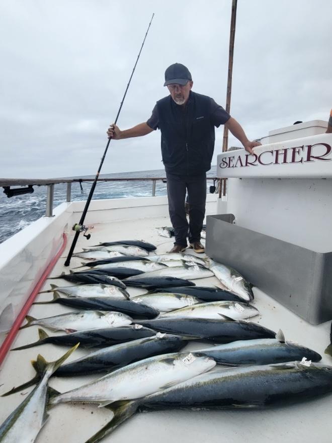Yellowtail Fishing Yellowtail Fishing