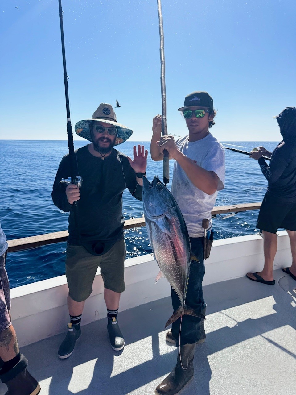 Bluefin Fishing
