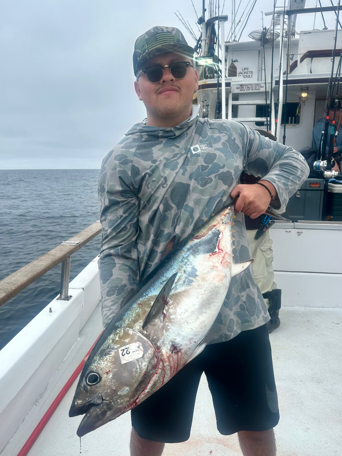 Bluefin Bluefin