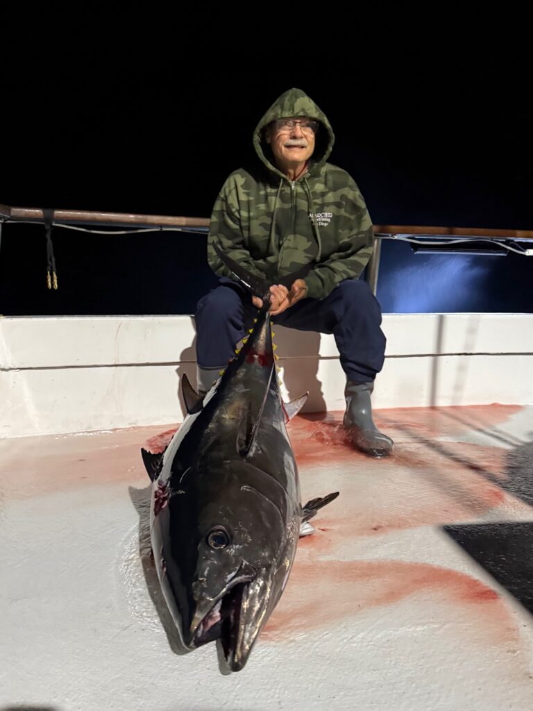 Bluefin Night Fishing