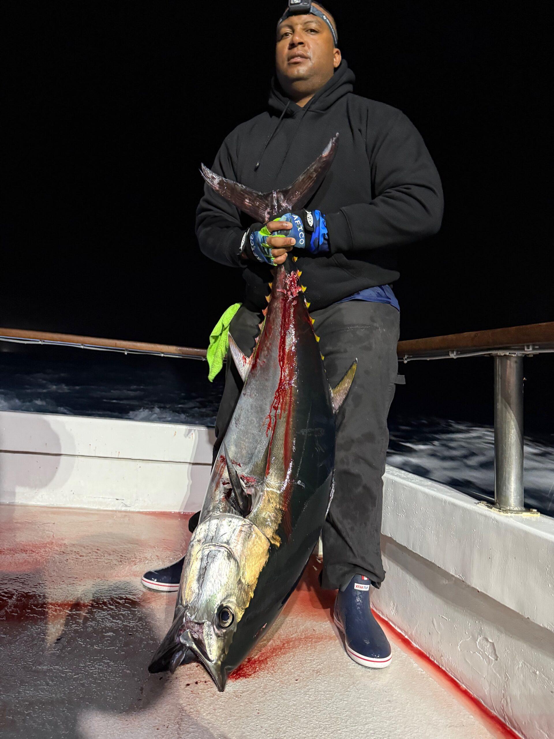Bluefin Night Fishing Bluefin Night Fishing