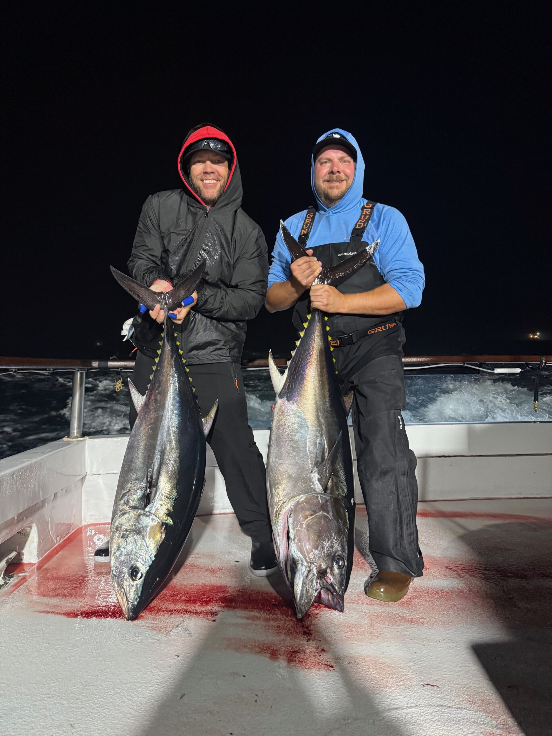 Bluefin Night Fishing