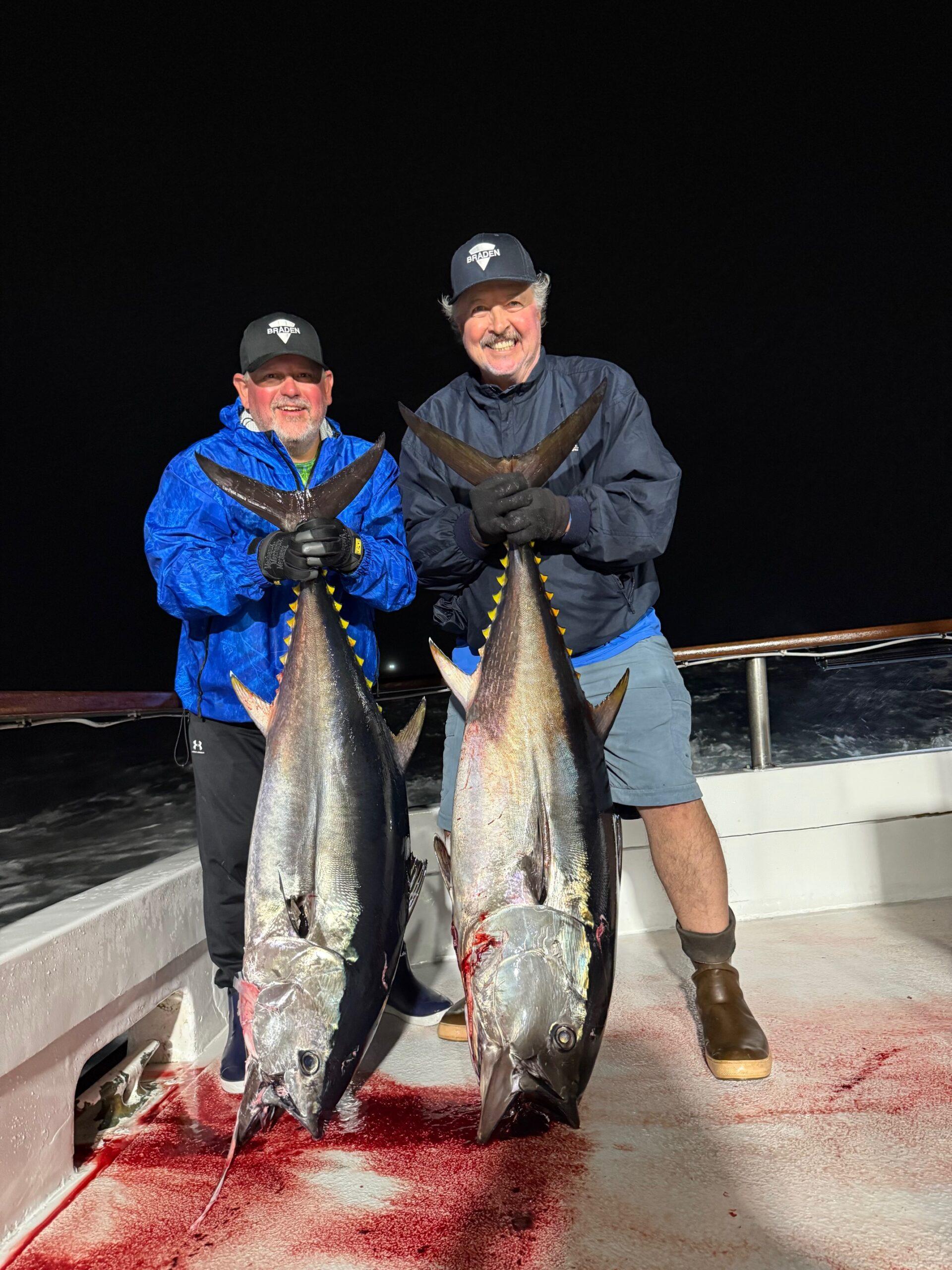 Bluefin Night Fishing