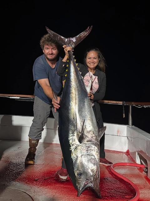 Bluefin night fishing