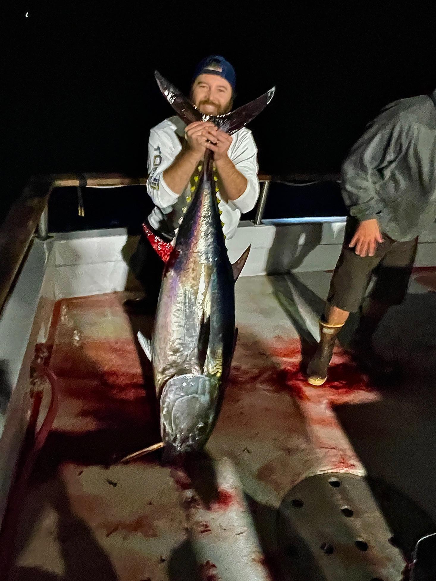 Bluefin Night Fishing