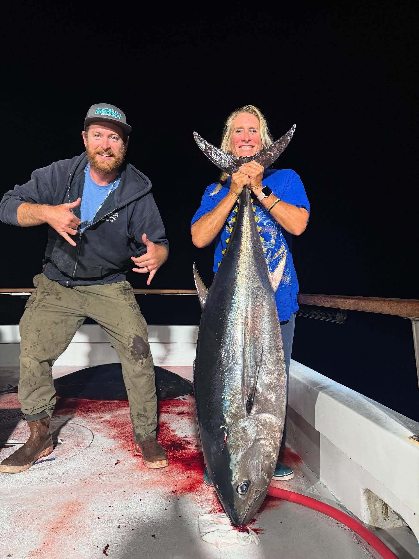 Bluefin Night Fishing