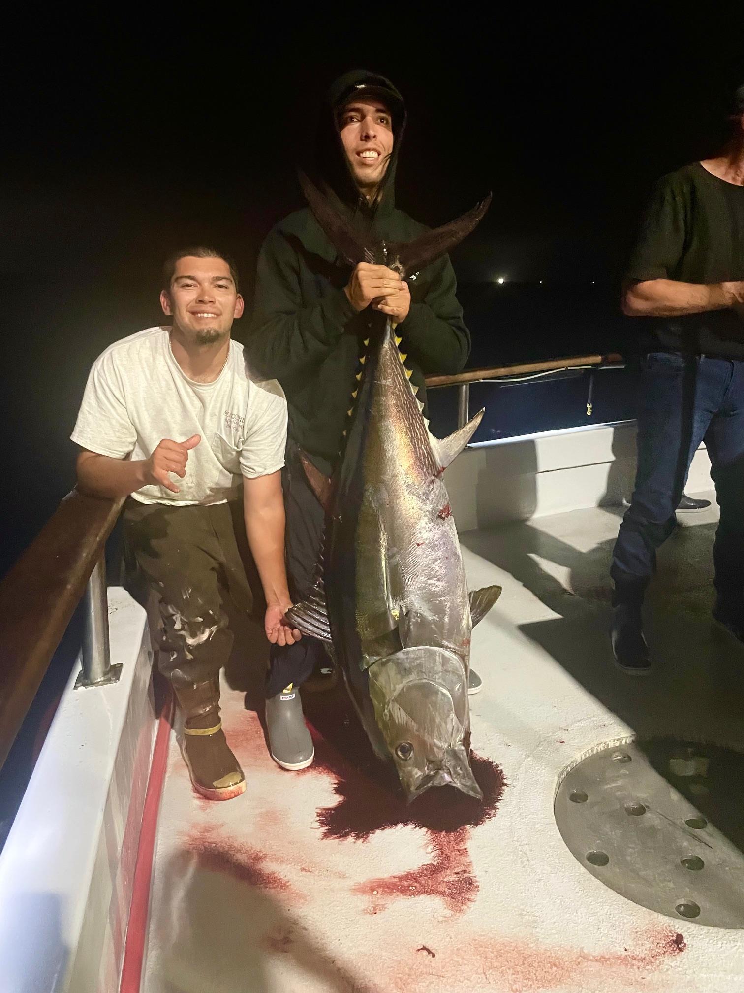 Bluefin Night Fishing Bluefin Night Fishing