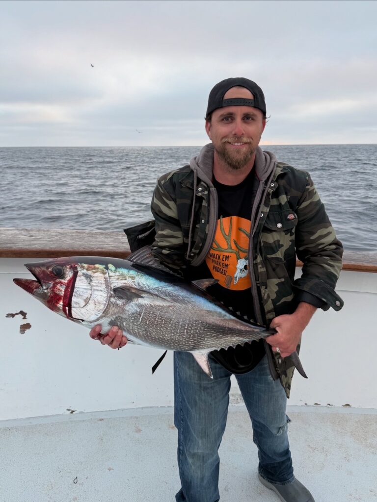 Bluefin Tuna