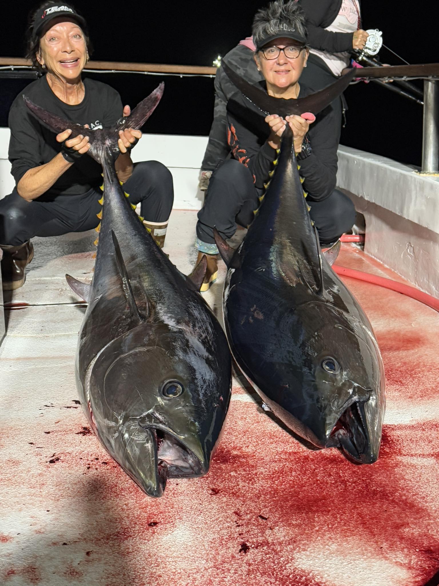 Bluefin Night Fishing