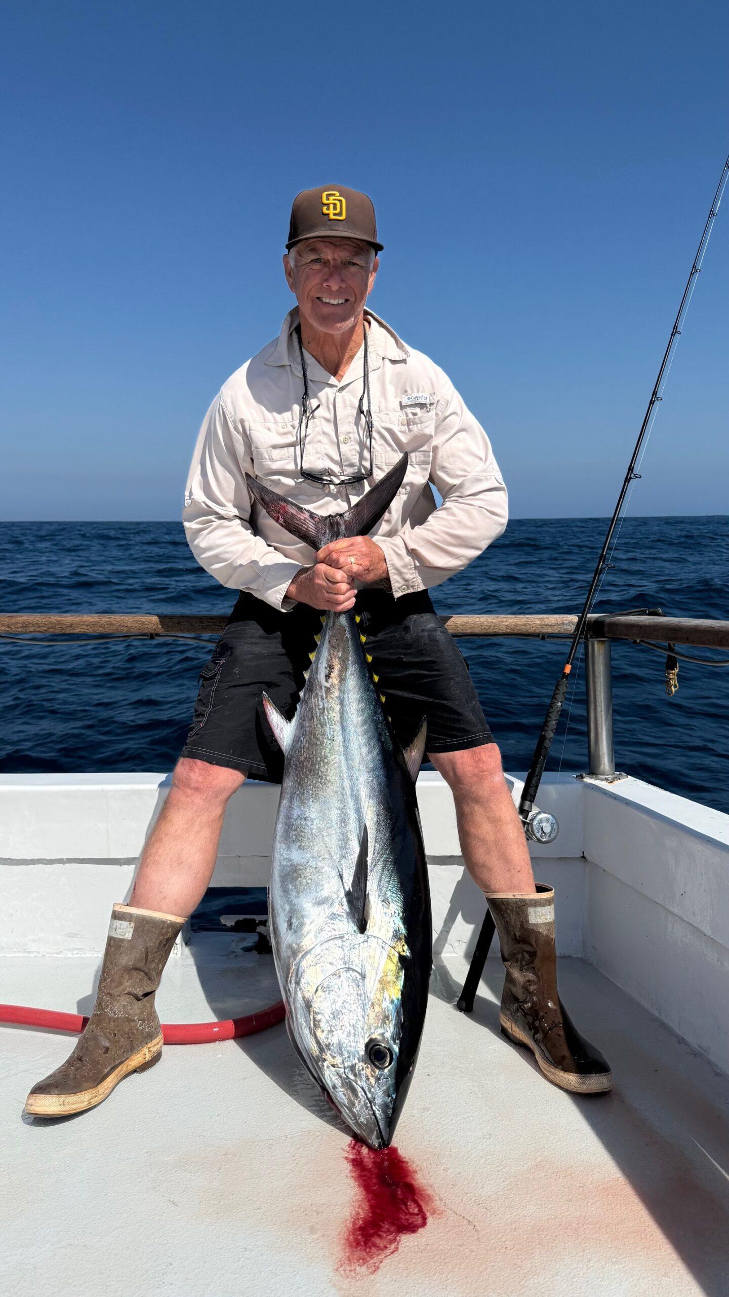 Bluefin Bluefin