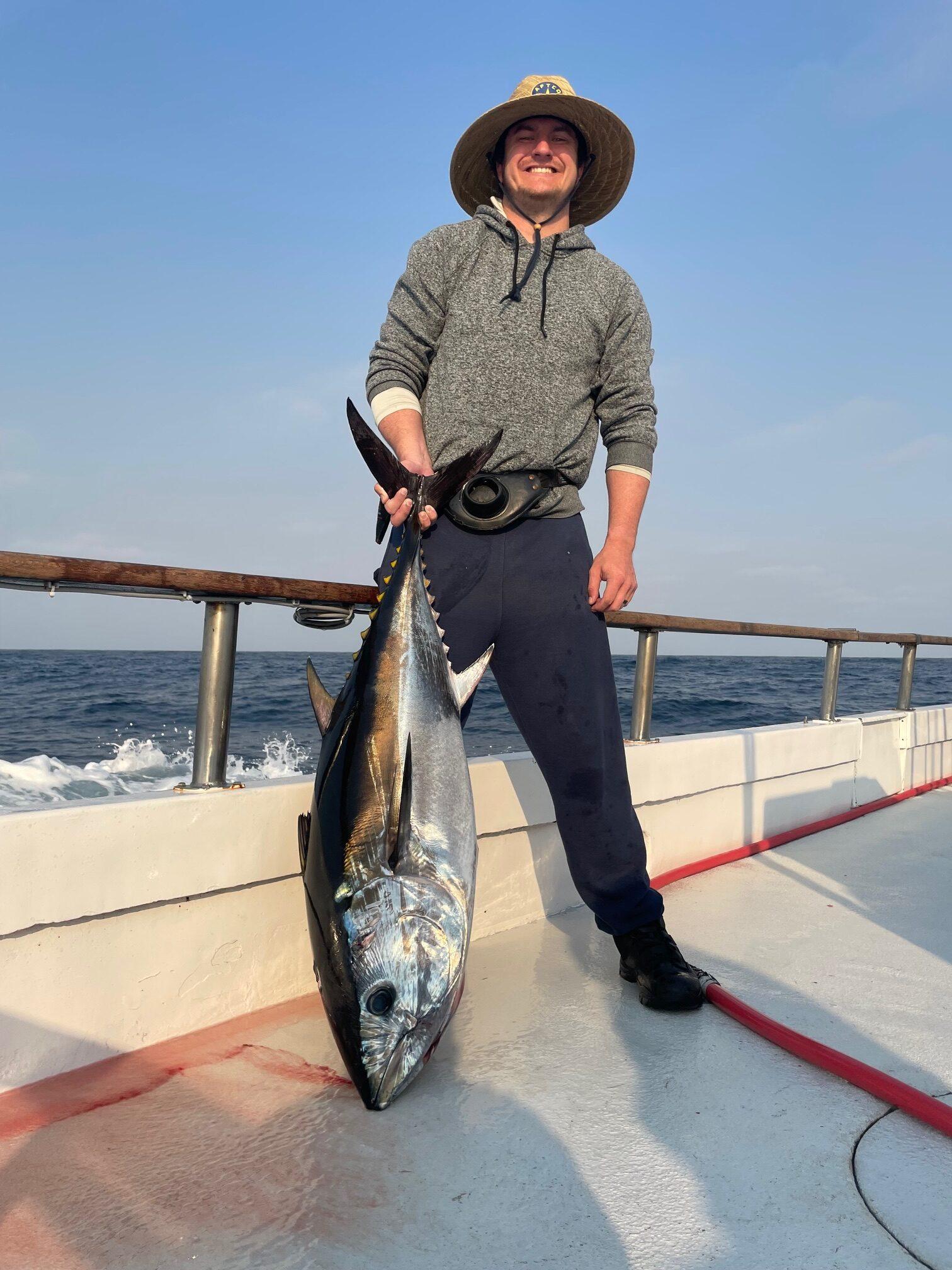 Bluefin Bluefin