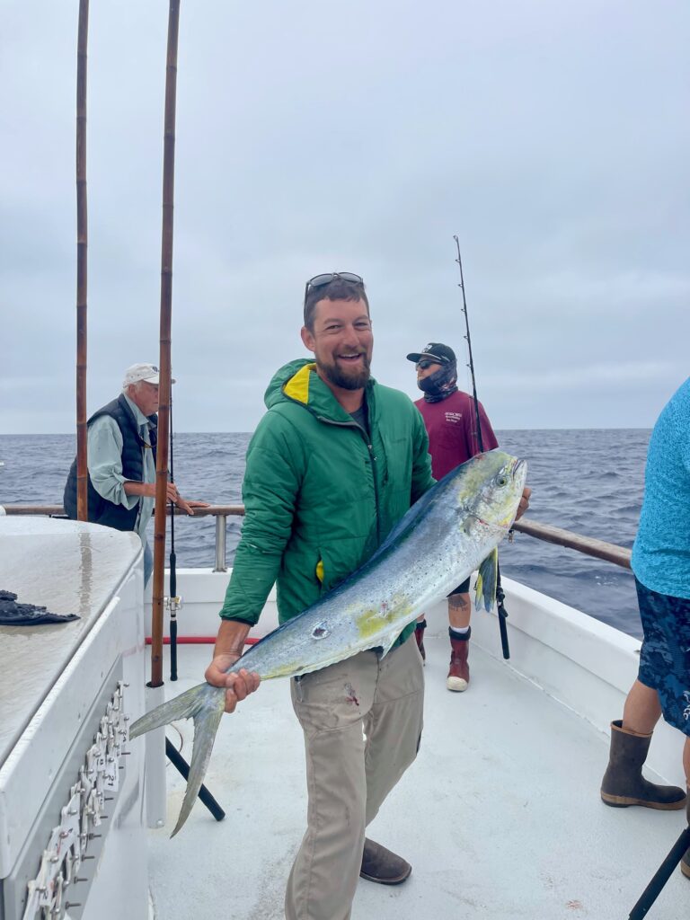 Dorado