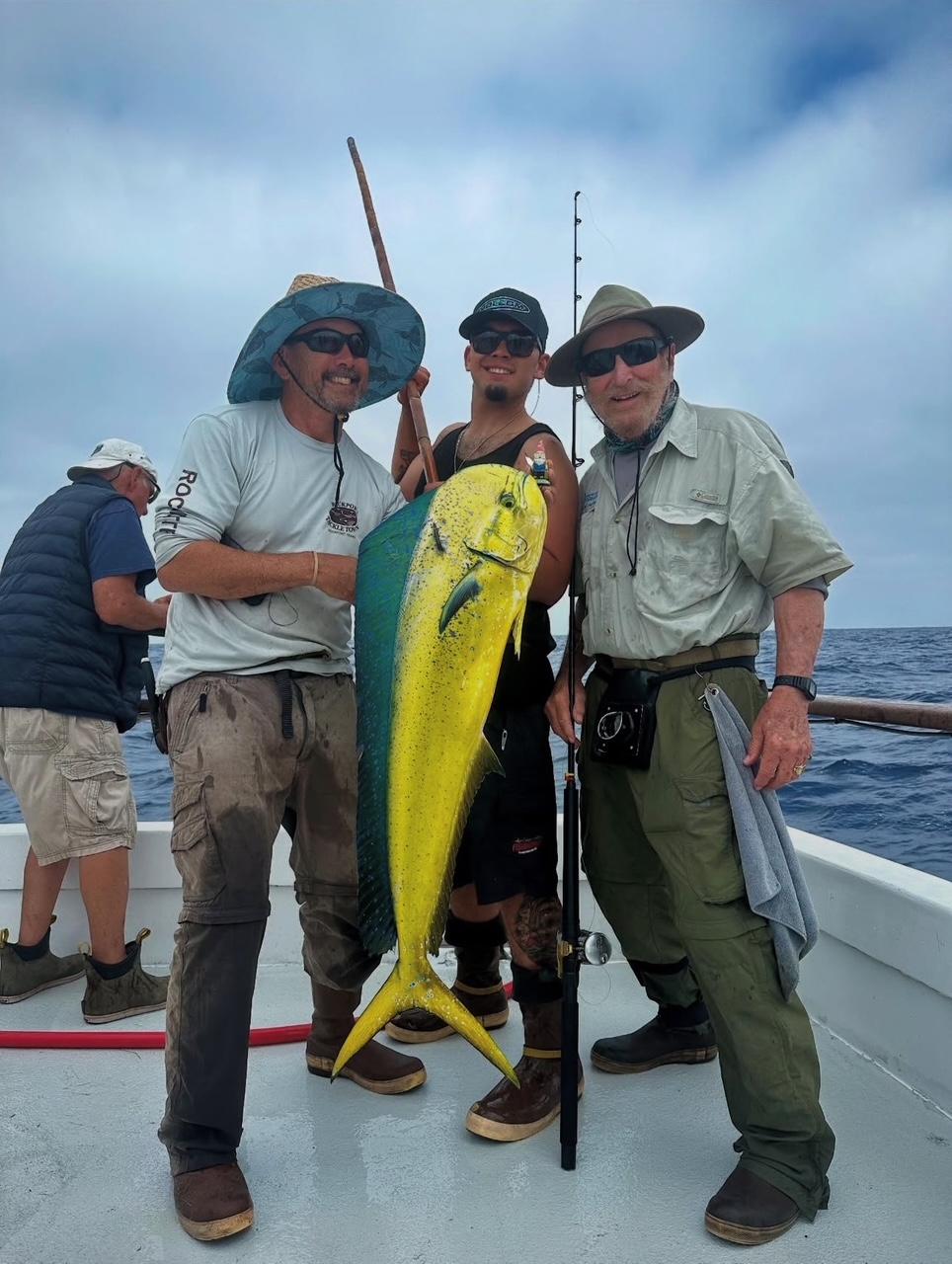 Dorado Dorado