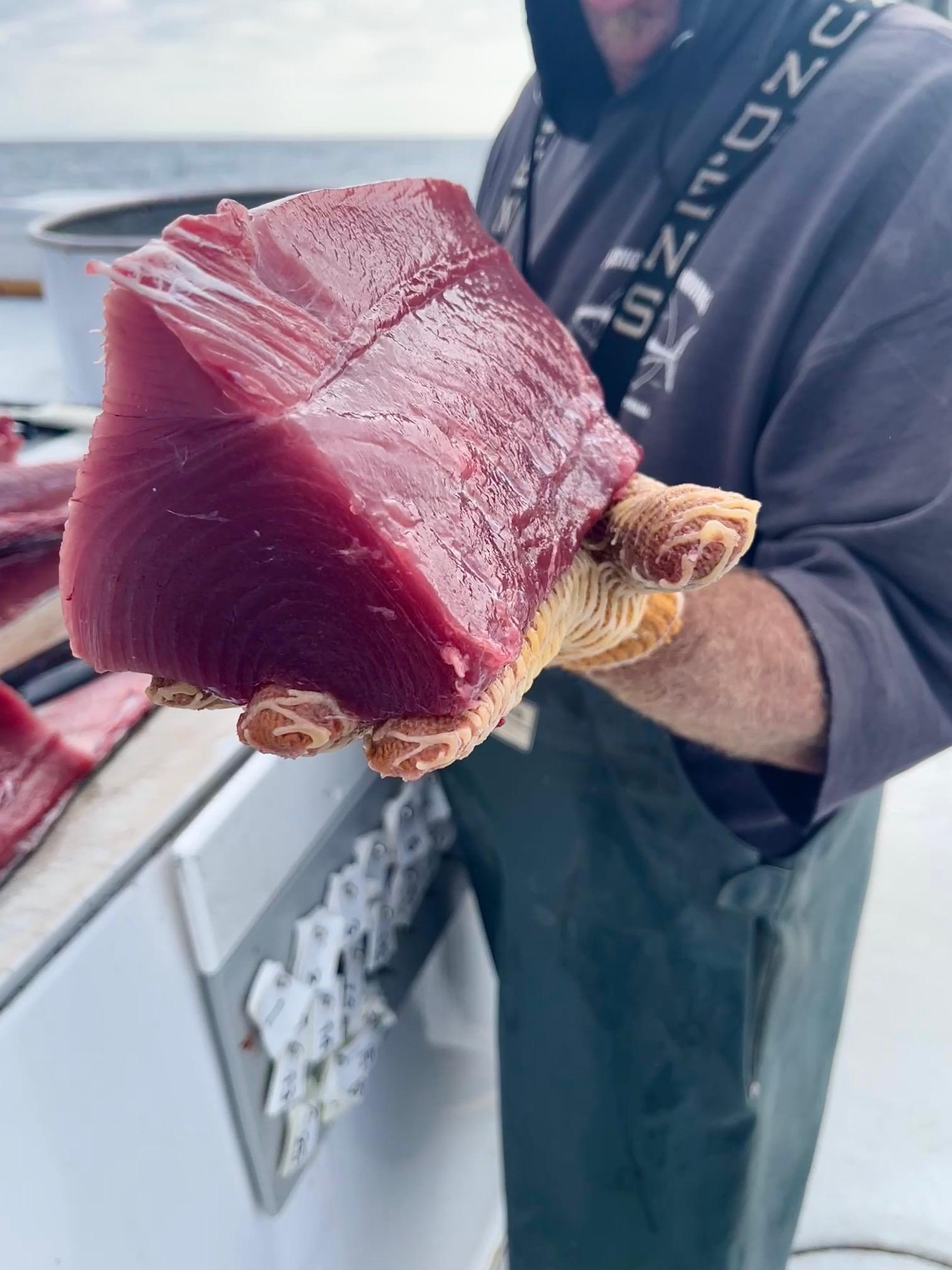 Fresh Cut Bluefin