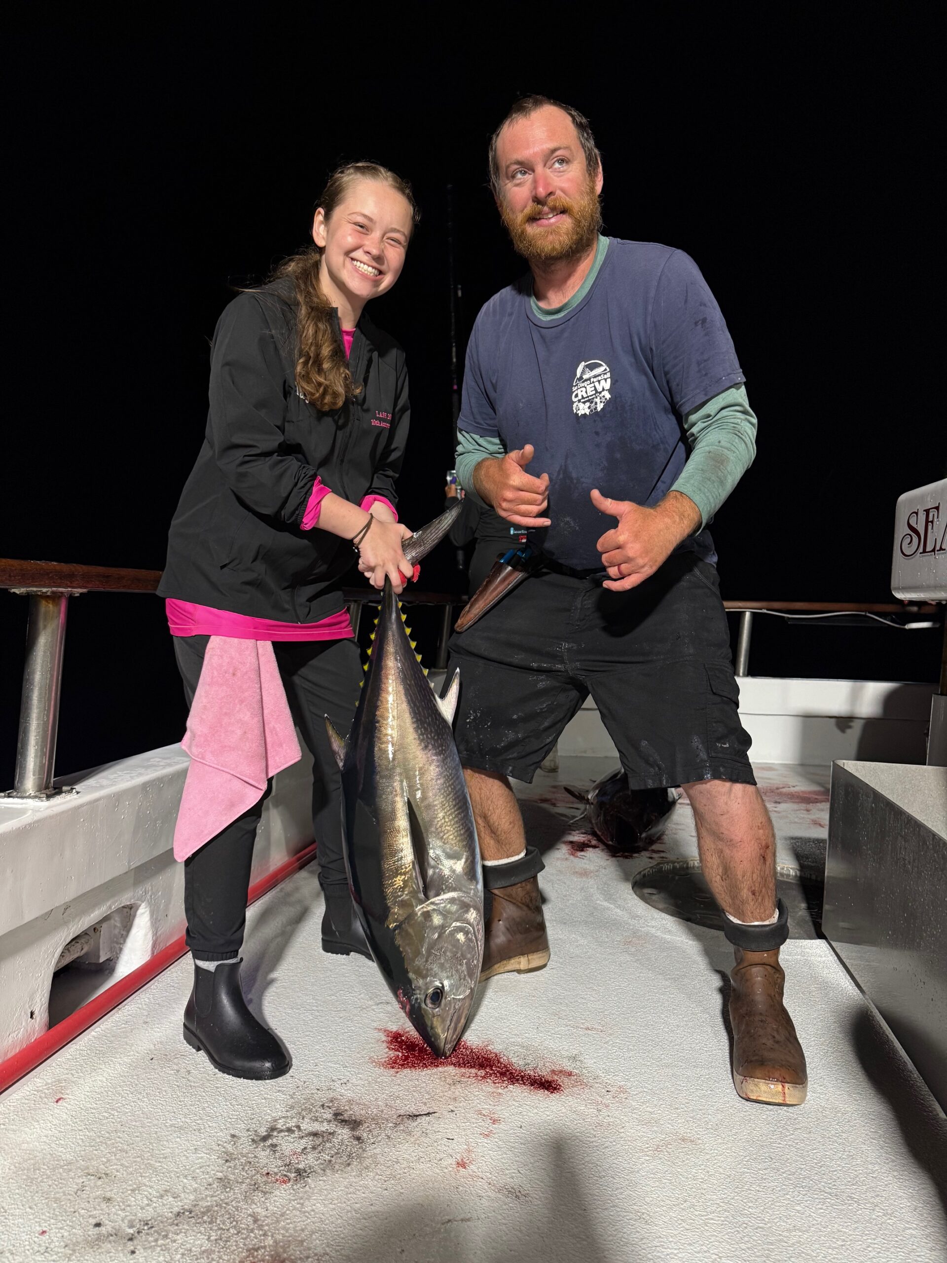 Bluefin Night Fishing Bluefin Night Fishing
