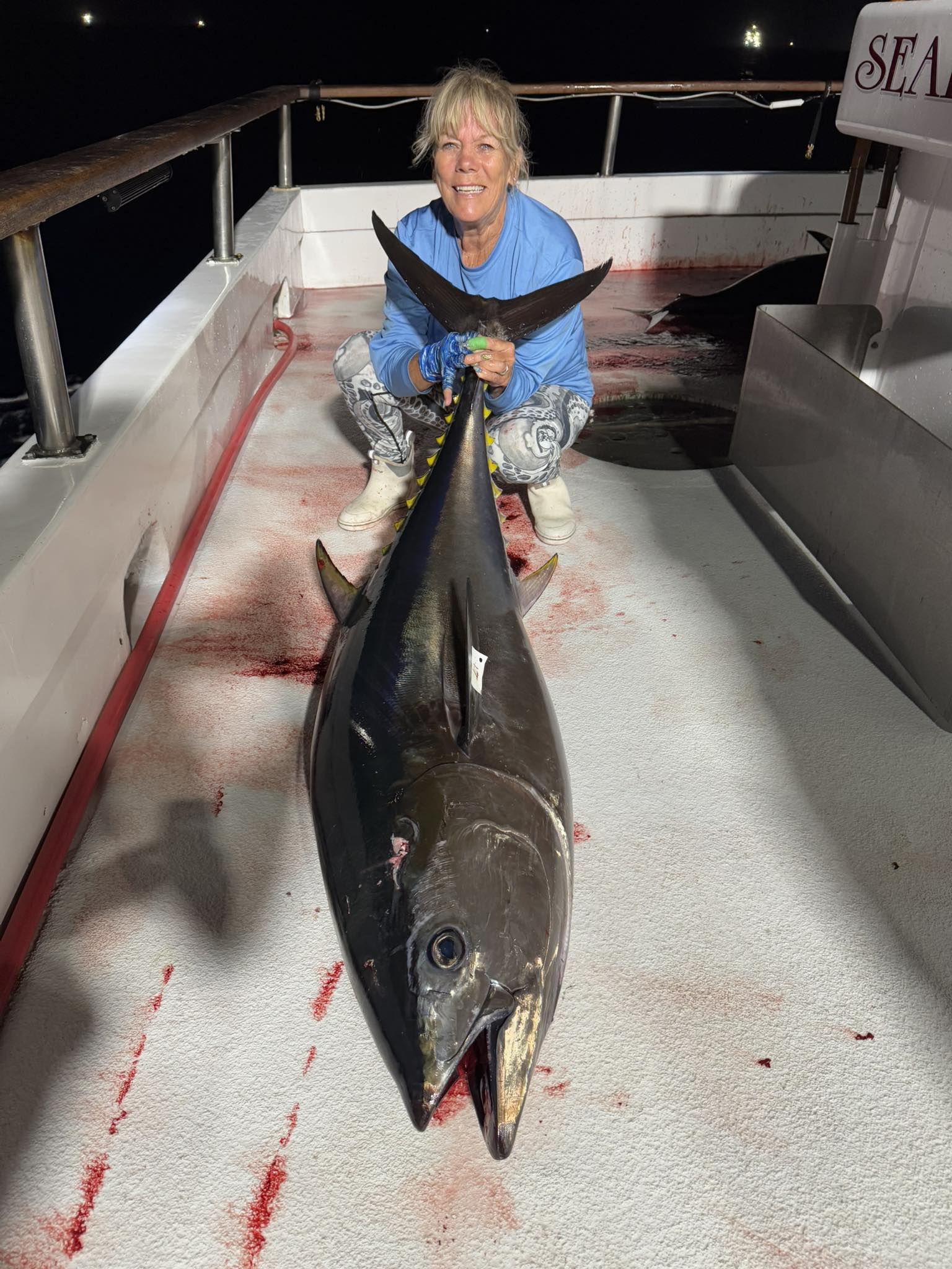 Bluefin Night Fishing