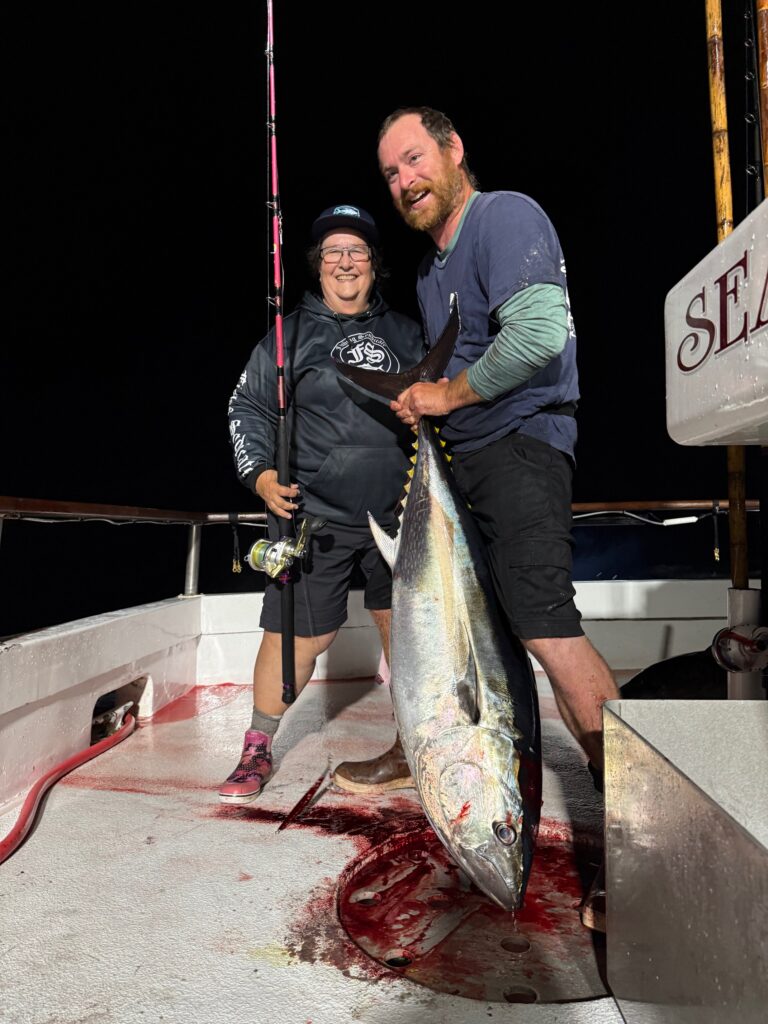 Night Bluefin