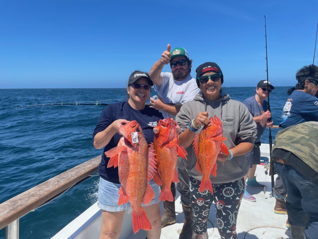 Reds