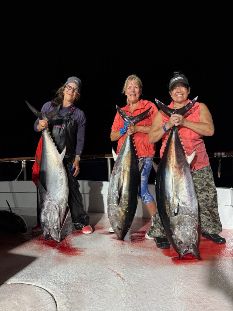 Three Bluefin