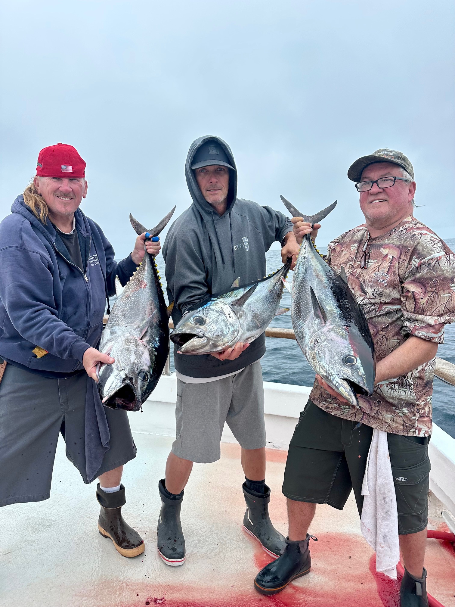 Three Bluefin Tunas Three Bluefin Tunas