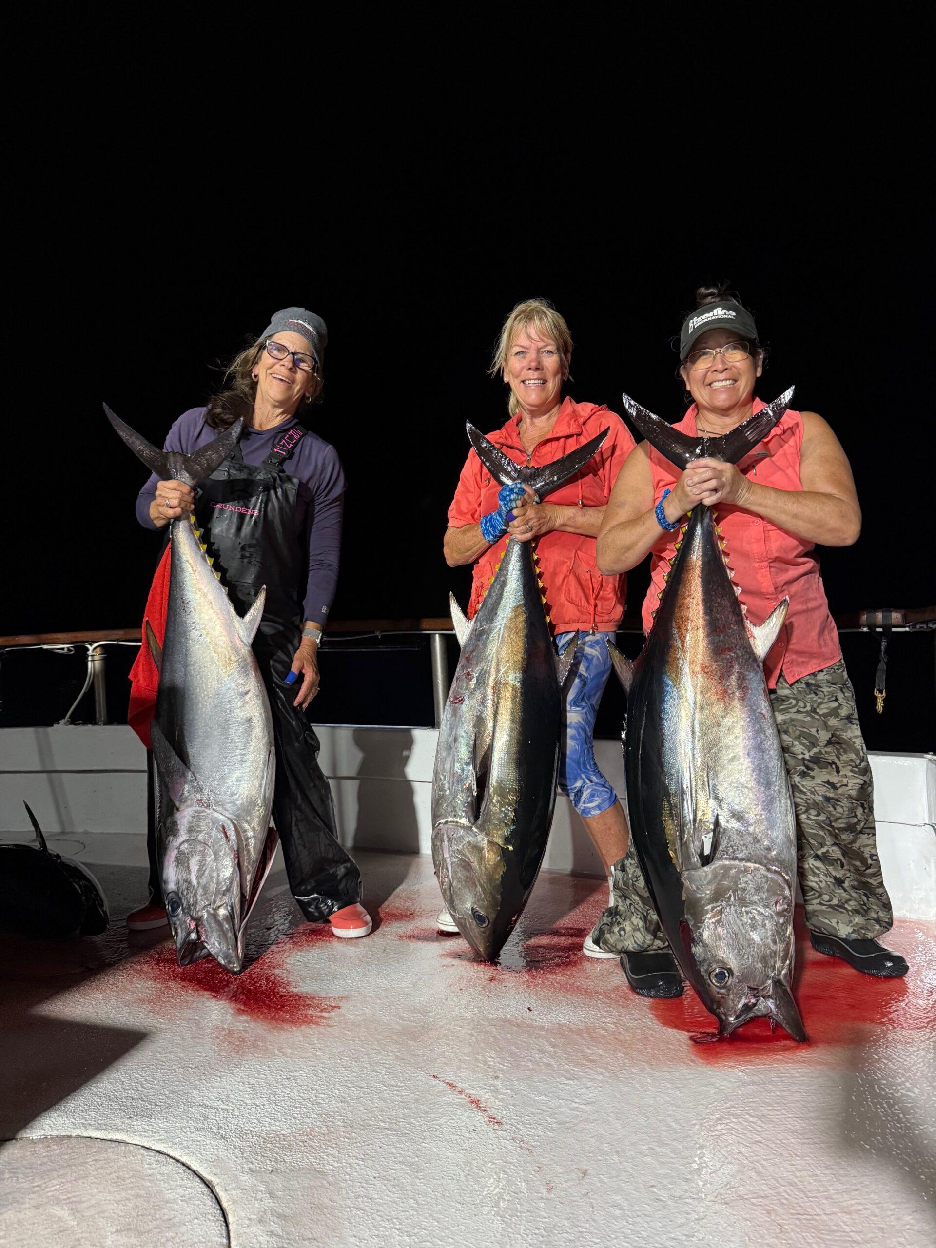 Three Bluefin Three Bluefin