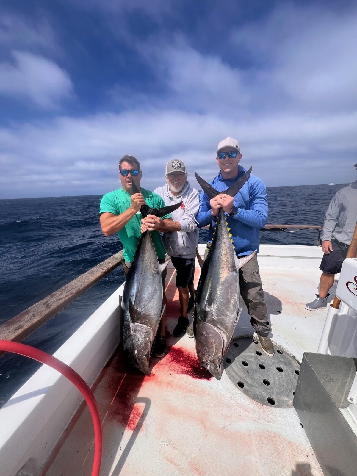 Two Bluefin Two Bluefin