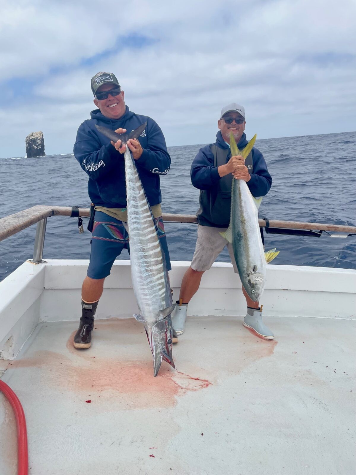 Wahoo Wahoo