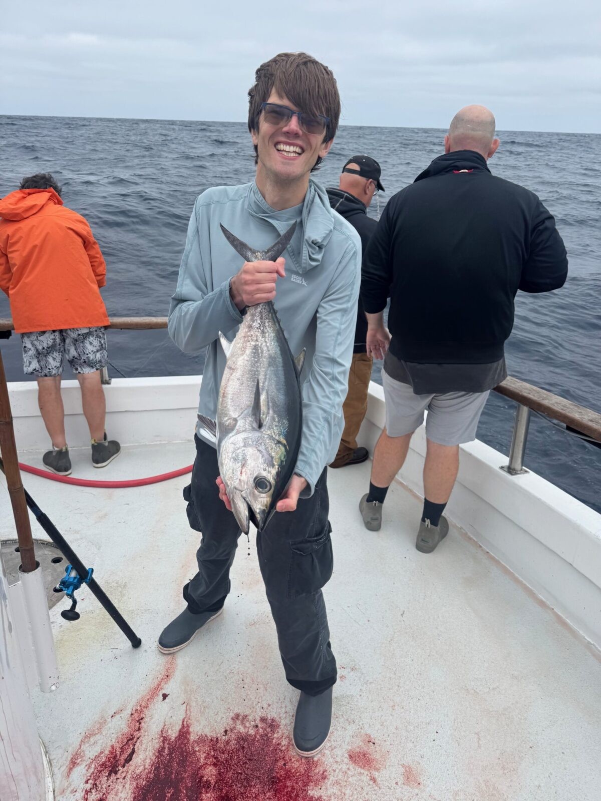 Bluefin Bluefin