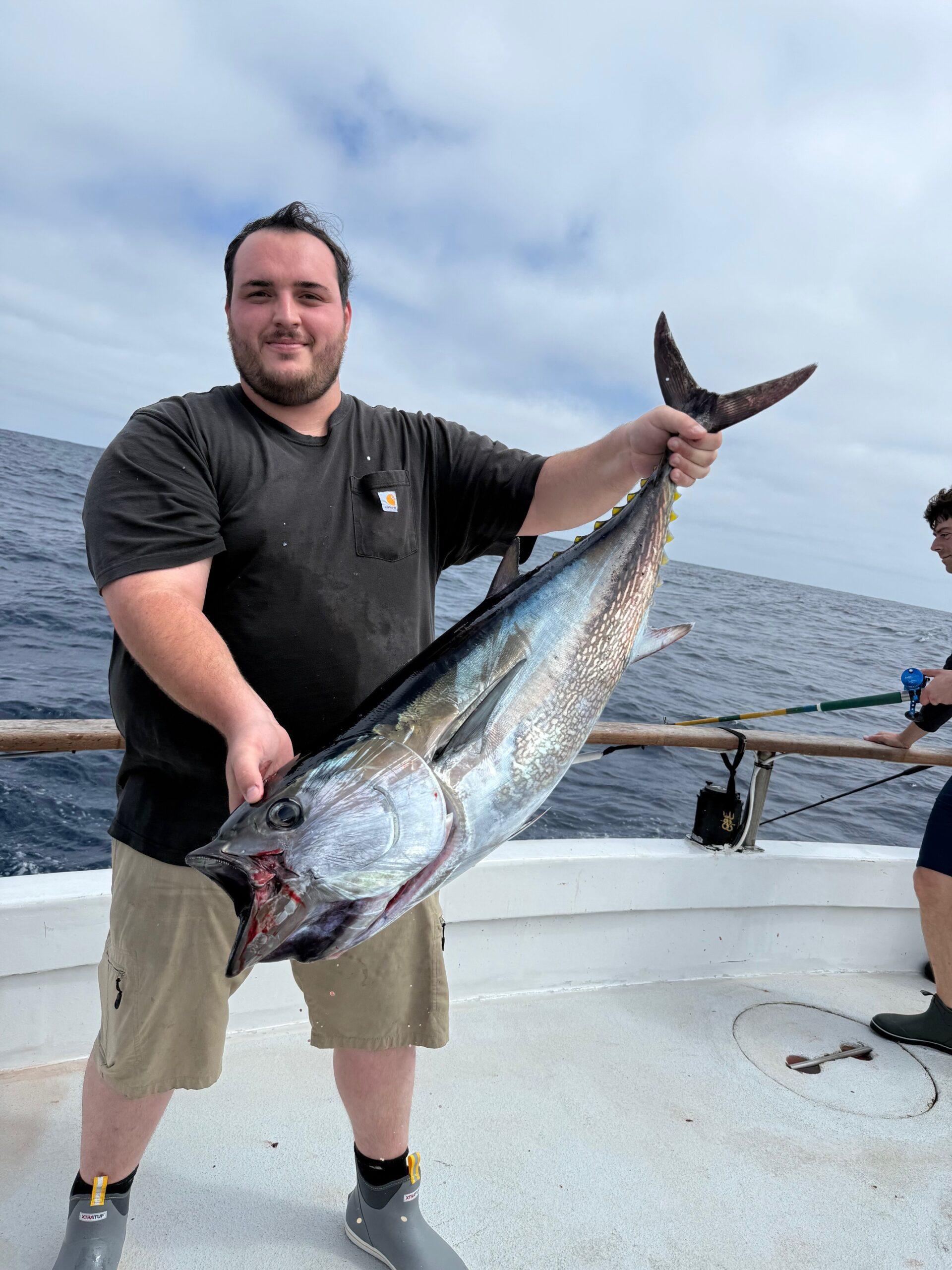 Bluefins Fishing Bluefins Fishing